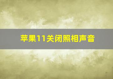 苹果11关闭照相声音