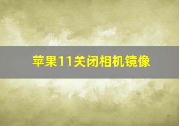 苹果11关闭相机镜像