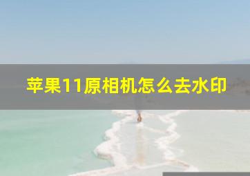 苹果11原相机怎么去水印