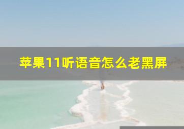 苹果11听语音怎么老黑屏