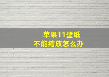 苹果11壁纸不能缩放怎么办