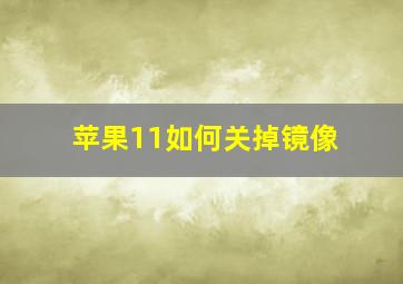 苹果11如何关掉镜像