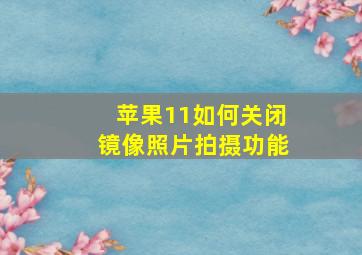 苹果11如何关闭镜像照片拍摄功能