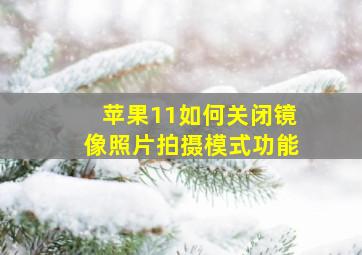 苹果11如何关闭镜像照片拍摄模式功能