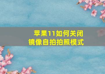 苹果11如何关闭镜像自拍拍照模式