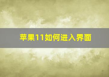 苹果11如何进入界面