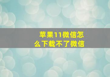 苹果11微信怎么下载不了微信