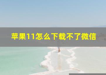 苹果11怎么下载不了微信