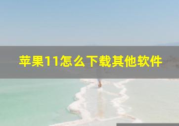 苹果11怎么下载其他软件