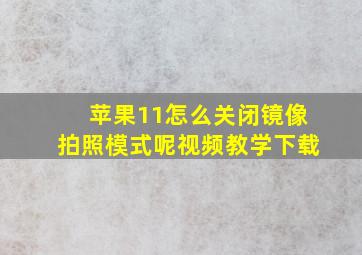 苹果11怎么关闭镜像拍照模式呢视频教学下载