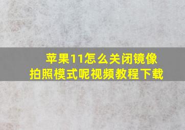 苹果11怎么关闭镜像拍照模式呢视频教程下载