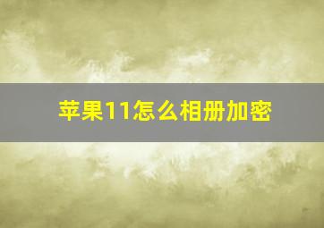 苹果11怎么相册加密