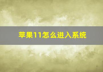 苹果11怎么进入系统