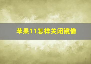 苹果11怎样关闭镜像