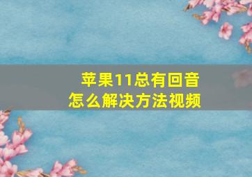 苹果11总有回音怎么解决方法视频