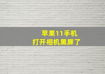 苹果11手机打开相机黑屏了