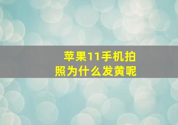 苹果11手机拍照为什么发黄呢