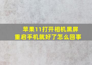 苹果11打开相机黑屏重启手机就好了怎么回事