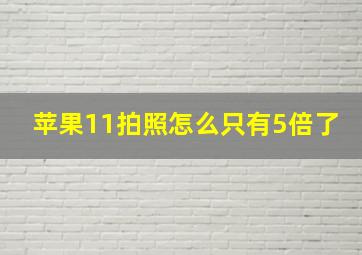 苹果11拍照怎么只有5倍了