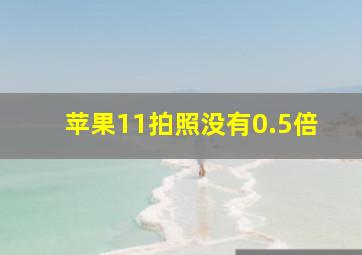 苹果11拍照没有0.5倍