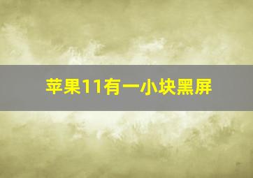 苹果11有一小块黑屏