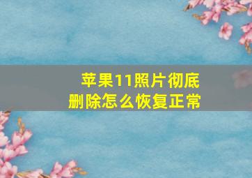 苹果11照片彻底删除怎么恢复正常