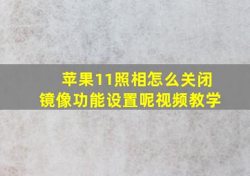 苹果11照相怎么关闭镜像功能设置呢视频教学