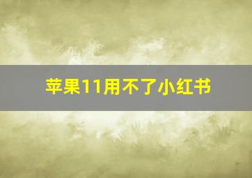 苹果11用不了小红书