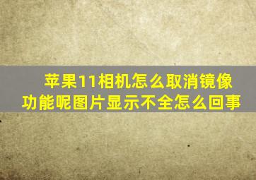 苹果11相机怎么取消镜像功能呢图片显示不全怎么回事