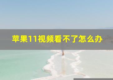 苹果11视频看不了怎么办