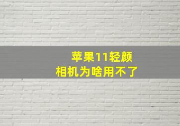 苹果11轻颜相机为啥用不了