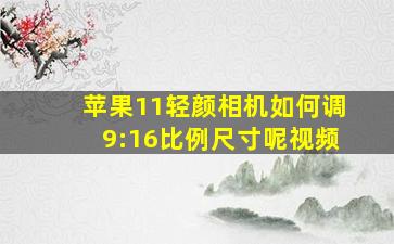 苹果11轻颜相机如何调9:16比例尺寸呢视频