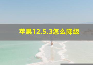 苹果12.5.3怎么降级