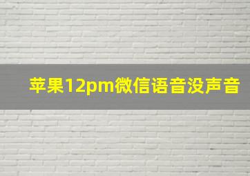 苹果12pm微信语音没声音