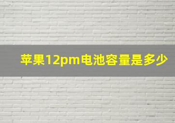 苹果12pm电池容量是多少