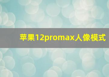 苹果12promax人像模式