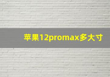 苹果12promax多大寸