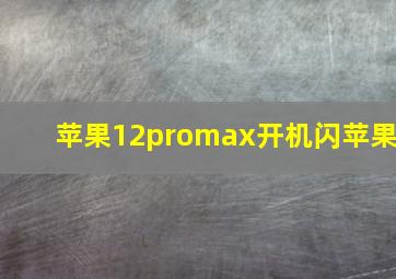 苹果12promax开机闪苹果