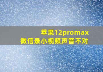 苹果12promax微信录小视频声音不对