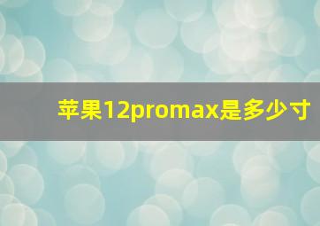 苹果12promax是多少寸