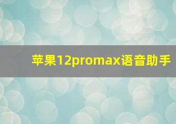 苹果12promax语音助手