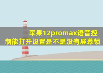 苹果12promax语音控制能打开设置是不是没有屏幕锁