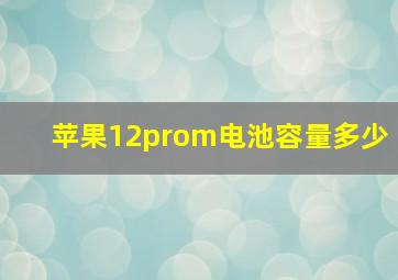 苹果12prom电池容量多少