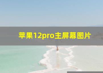 苹果12pro主屏幕图片