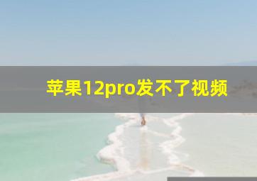 苹果12pro发不了视频