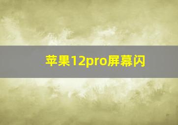 苹果12pro屏幕闪