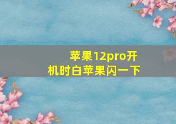 苹果12pro开机时白苹果闪一下