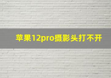 苹果12pro摄影头打不开