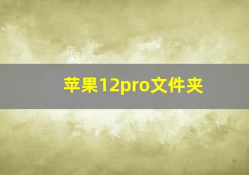 苹果12pro文件夹