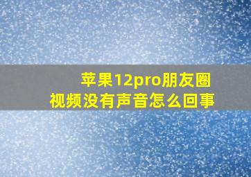 苹果12pro朋友圈视频没有声音怎么回事